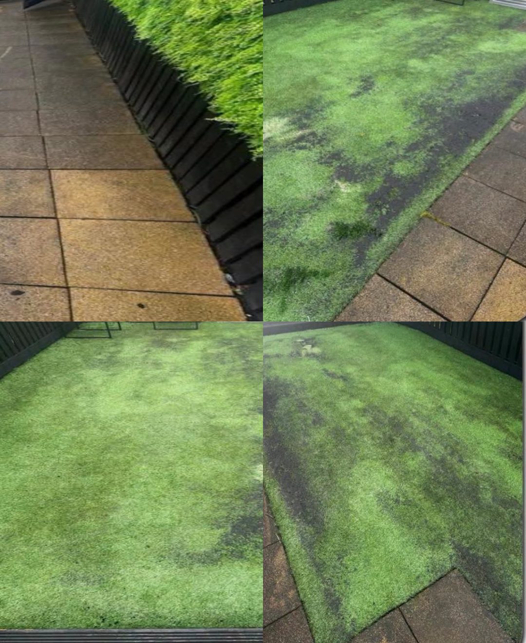 Artificial grass before cleaning