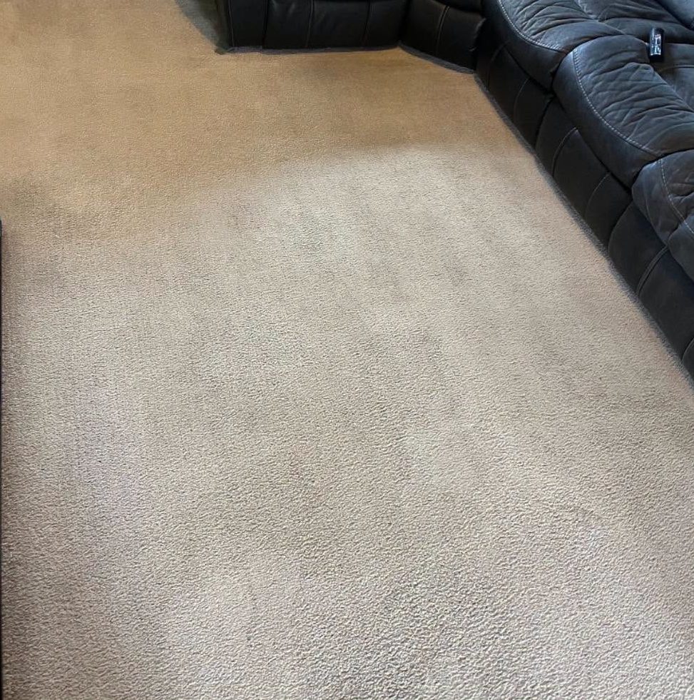 Living room carpet after cleaning by Saltire Carpet Cleaning