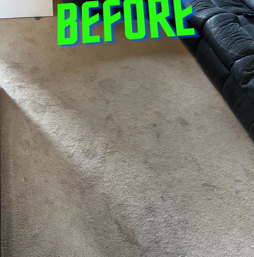 Living room carpet before cleaning