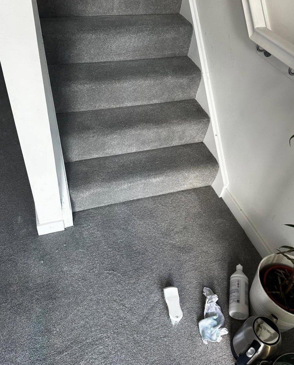 Grey carpeted staircase after cleaning by Saltire Carpet Cleaning