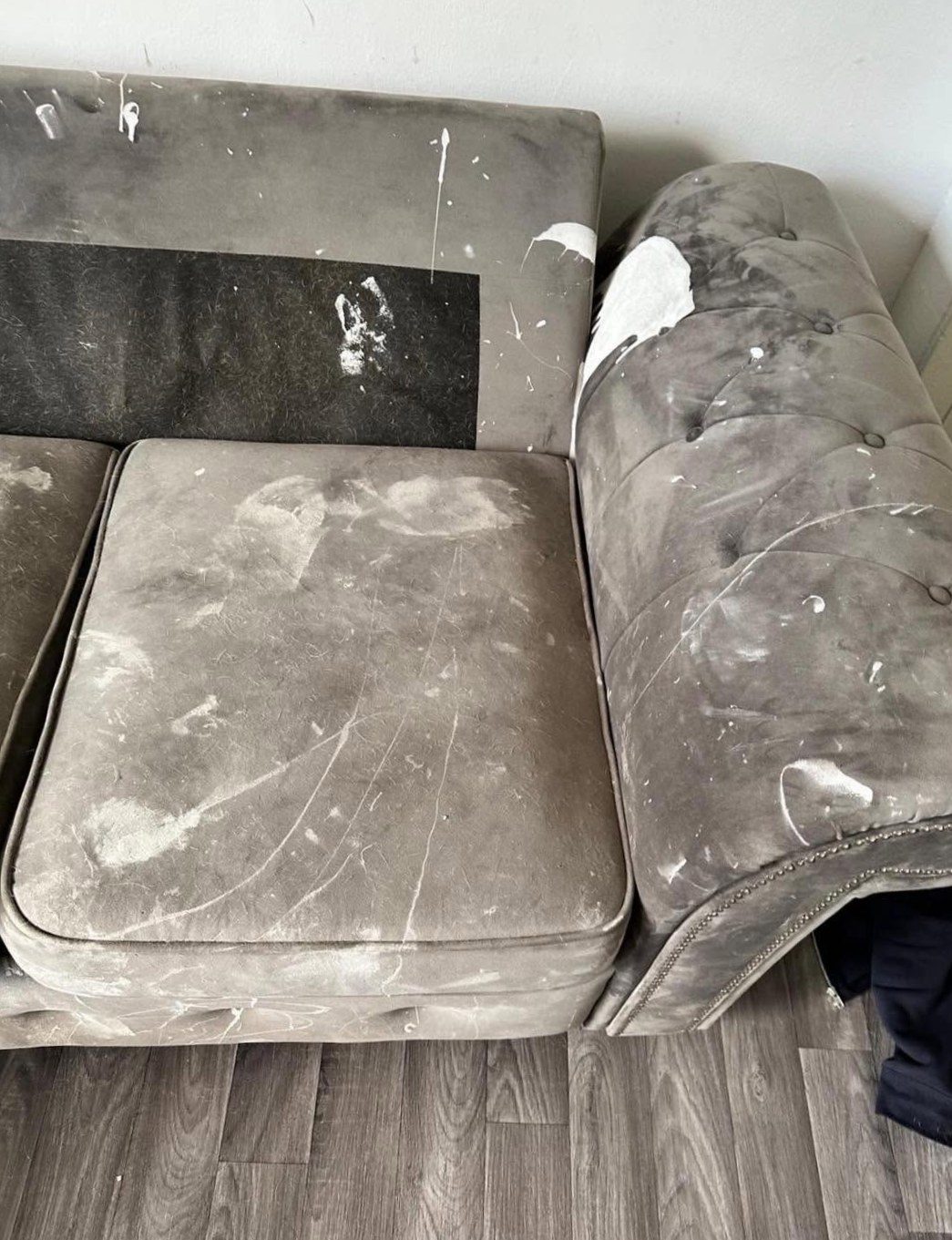 Grey velvet sofa before cleaning
