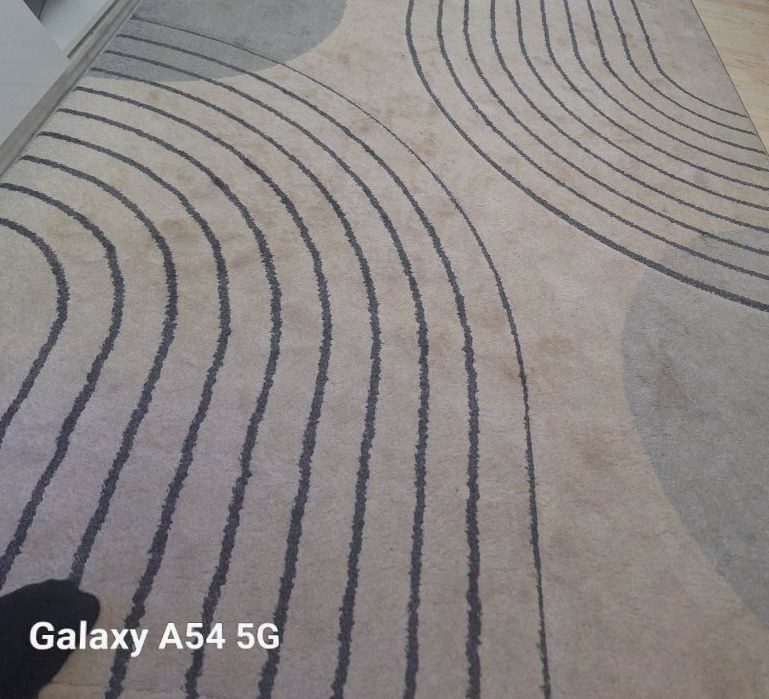 Rug before cleaning