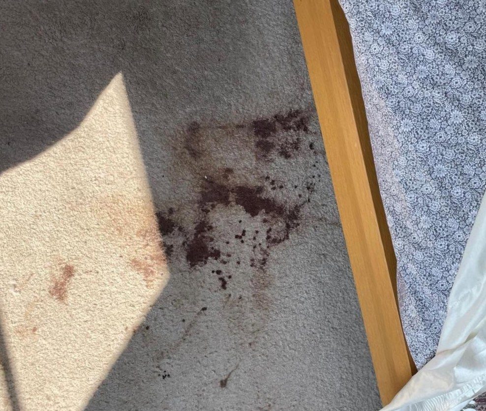 Bedroom carpet stain before cleaning